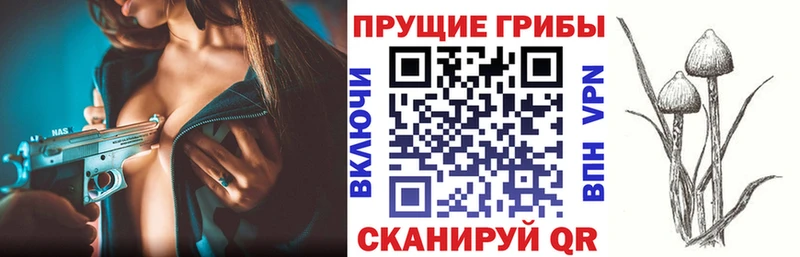 продажа наркотиков  Зеленодольск  Галлюциногенные грибы ЛСД 